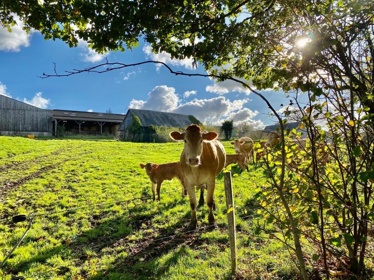 Greener Pastures - Normandy Self Catering Gites La Chapelle-Engerbold Extérieur photo