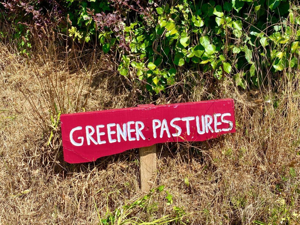 Greener Pastures - Normandy Self Catering Gites La Chapelle-Engerbold Extérieur photo